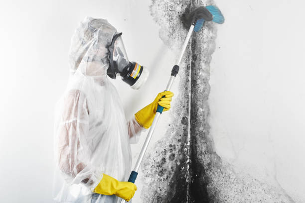 Best Biohazard Mold Removal  in Parsippany, NJ