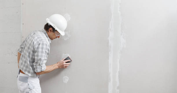 Best Real Estate Mold Inspection  in Parsippany, NJ