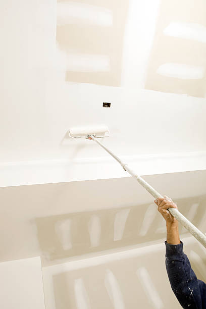 Best Black Mold Removal  in Parsippany, NJ